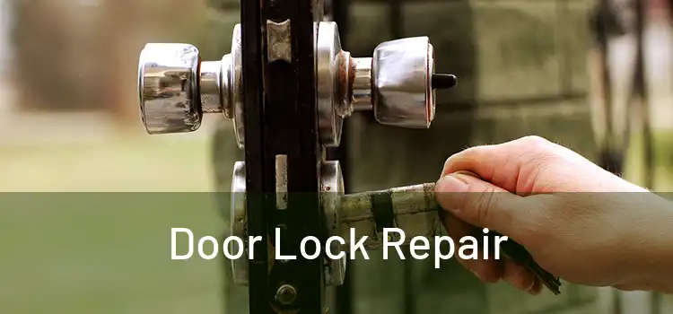 Door Lock Repair